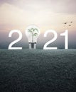 Happy new year 2021 ecological cover concept Royalty Free Stock Photo