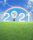 2021 white text and light bulb with small plant inside on green grass field over rainbow, birds and blue sky with white clouds, Ha Royalty Free Stock Photo