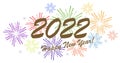 Happy New Year 2022 fireworks concept Royalty Free Stock Photo