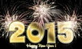 Happy New Year 2015 fireworks Royalty Free Stock Photo