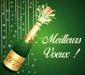 Best wishes ! French language. Golden and green greeting card with champagne and party decorations. Vector illustration. Royalty Free Stock Photo