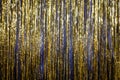 Happy New Year 2017 gold background tinsel