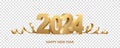 Happy New Year 2024 Royalty Free Stock Photo