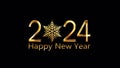 Happy New Year 2024 golden light text with snowflakes