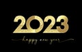 2023 Happy New Year golden luxury card