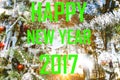 Happy new year 2017 green word with pine tree sunrise Royalty Free Stock Photo