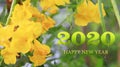 Happy New Year 2020 greeting card with beautiful yellow flower, number on yellow flower background,Nature eco concept,organic Royalty Free Stock Photo