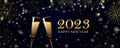happy new year 2023 greeting card champagner and golden firework