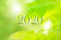 Happy New Year 2020 greeting card with fresh green leaf nature, number on Green leaves background,Nature eco concept,organic Royalty Free Stock Photo