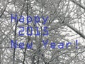 2015 Happy New year greeting
