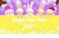 Happy New Year 2023, group of cute funny bunny rabbat holding sign board banner template, Xmas holiday party vector, Royalty Free Stock Photo