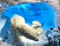 Happy New Year 2021 photo at PNE showcasing polar bears in a cave with a blue light inside in Vancouver, BC