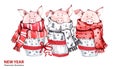 2019 Happy New Year illustration. Christmas border. 3 Cute pigs in winter scarves. Greeting watercolor cakes. Symbol of Royalty Free Stock Photo