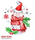 2019 Happy New Year illustration. Christmas. Cute pig in winter scarf with Santa hat. Greeting watercolor cake. Symbol Royalty Free Stock Photo
