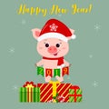 Happy New Year and Merry Christmas Greeting Card. Cute pig in Santa Claus hat and scarf holding flags 2019. Standing on Royalty Free Stock Photo