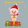 Happy New Year and Merry Christmas Greeting Card. Cute pig in santa hat and scarf holding a gift. It is on the box with a gift. Th Royalty Free Stock Photo