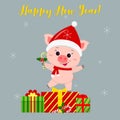 Happy New Year and Merry Christmas greeting card. Cute pig in a Santa hat and scarf holding a lollipop. It is on the box with a gi Royalty Free Stock Photo