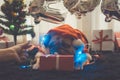 Happy New Year 2020, Merry Christmas, holidays and celebration, Puppy pets bored sleeping rest in the room with Christmas tree. Royalty Free Stock Photo