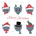 Happy New Year and Merry Christmas. A set of six heads of cute kittens of the British breed in carnival hats and scarves Royalty Free Stock Photo