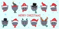 Happy New Year and Merry Christmas. A set of twelve heads of cute British breed kittens in Santa carnival hats and