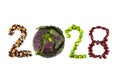 Happy New Year 2028 number made of fruits and vegetable on white