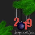 Bowling ball and 2019 on a Christmas tree branch Royalty Free Stock Photo