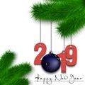 Bowling ball and 2019 on a Christmas tree branch Royalty Free Stock Photo