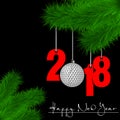 Golf ball and 2018 on a Christmas tree branch Royalty Free Stock Photo