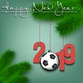 Soccer ball and 2019 on a Christmas tree branch