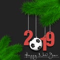 Soccer ball and 2019 on a Christmas tree branch