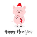 Happy New Year 2019. Pig holding candy cane, sock. Red Santa Claus hat. Christmas. Xmas symbol. Cute funny cartoon character. Flat Royalty Free Stock Photo