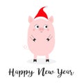 Happy New Year. Pig piglet standing. Santa hat. Cute cartoon funny baby character. Hog swine sow animal. Chinise symbol of 2019 Royalty Free Stock Photo