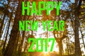 Happy new year 2017 on pine tree sunrise background