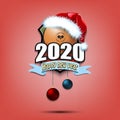 Happy new year 2020 and ping-pong ball in santa hat Royalty Free Stock Photo