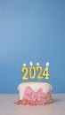 Happy New Year 2024, pink birthday cake decorate with colorful sugar sprinkle and whip cream with golden candle 2024 for new year Royalty Free Stock Photo