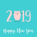 Happy New Year 2019 pink text. Cute baby pig. Piggy piglet. Chinise symbol. Cartoon funny kawaii smiling character. Flat design. Royalty Free Stock Photo