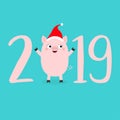 Happy New Year 2019 pink text. Cute baby pig in santa hat. Piggy piglet. Chinise symbol. Cartoon funny kawaii smiling character. Royalty Free Stock Photo