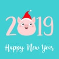 Happy New Year 2019 pink text. Cute pig face head. Red santa hat. Piggy piglet. Chinise symbol. Cartoon funny kawaii smiling baby