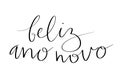 Happy New Year in portuguese Feliz Ano Novo handwritten lettering calligraphy. Vector web banner template