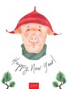 Happy New Year postcard Boy Teen Pig 2019