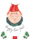 Happy New Year postcard Boy Teen Pig 2019 Royalty Free Stock Photo