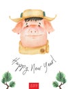 Happy New Year postcard Boy Teen Pig 2019