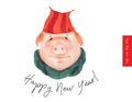 Happy New Year postcard Boy Teen Pig 2019 Royalty Free Stock Photo