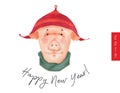 Happy New Year postcard Boy Teen Pig 2019 Royalty Free Stock Photo
