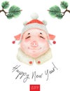 Happy New Year postcard Girl Teen Piggy 2019