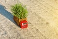 Happy New Year A small toy truck with a Christmas tree on a cou Royalty Free Stock Photo