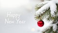 Happy new year snow tree branch ornament Royalty Free Stock Photo