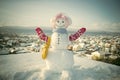 Happy New Year with Snowman. Snowmans happy couple. Snowmans celebration. Snowman in pink wig, mittens and scarf.