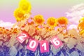 Happy new year 2016 on sunflower field, welcome 2016 Royalty Free Stock Photo