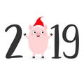 Happy New Year 2019 text. Cute baby pig in santa hat. Pink piggy piglet. Chinise symbol. Cartoon funny kawaii smiling character. Royalty Free Stock Photo